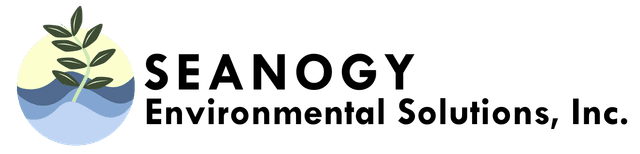 Seanogy Logo